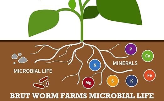 Brut Cow Compost - 5 Quart - Nutrient-Rich Fertilizer for Thriving Gardens - Safe, Pure, and Effective