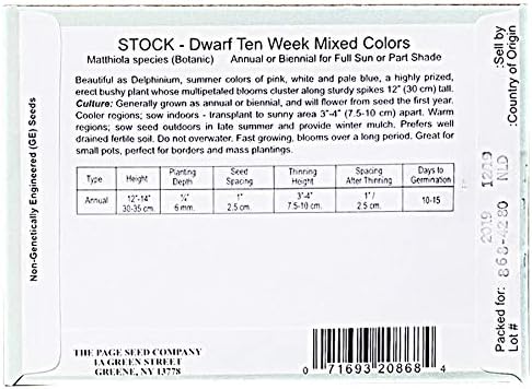 Set of 50 Flower Seed Packets! Flower Seeds in Bulk (50, Stock Dwarf Ten Weeks Mix)