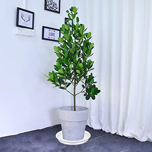 6 Pack of 12 inch Plant Saucer, Heavy Duty Plastic Plant Saucer 12" Round, Plant Tray for Pots, Flower Plant Saucers for Indoors, Plant Trays for Planter 11"/12" (12 inch, Creamy White)