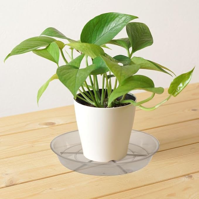 6 Pack Plant Saucer Drip Tray 7 8 inch, Plant Drainage Trays, Heavy Sturdy Plastic Planter Flower Pot Saucers for Indoor Outdoor Garden, Plant Water Drip Trays for pots (8", Grey)