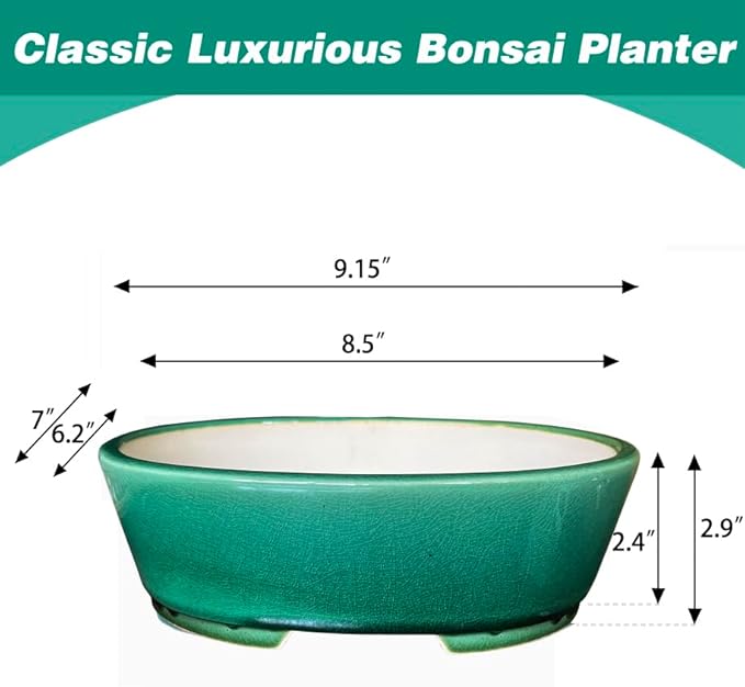 MUZHI 9” Glazed Oval Green Bonsai Planter Pot with Humidity Tray, Classic Neat Ice Crack Long Bonsai Tree Succulent Plant Pot with Saucer