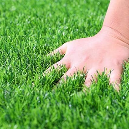 Water-Storing Crystal Gel (2 pounds)