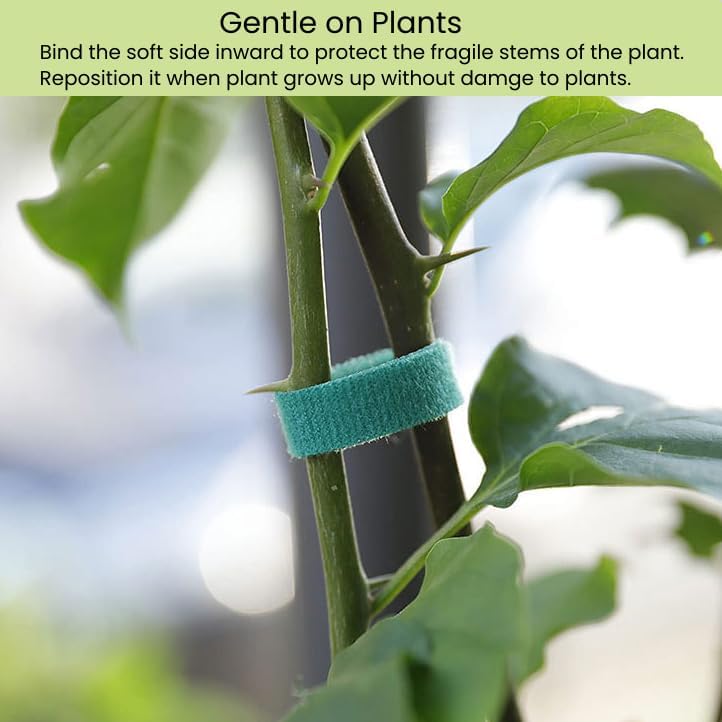 Plant Ties Hook and Loop Garden Tape Roll Gentle Double Sided Garden Stake Strap Reusable Adjustable Nylon Plant Support Ties for Climbing Plants (1/2 Inch x 82 ft, Green)