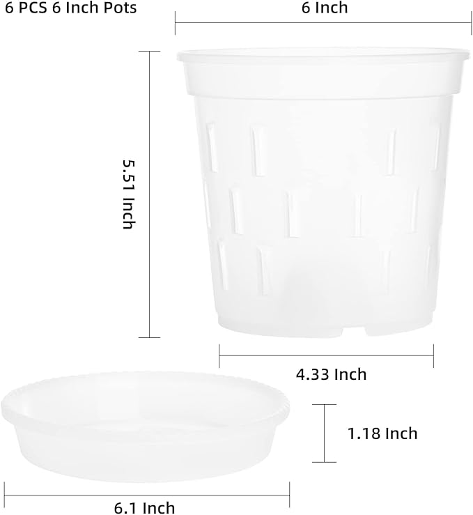 TRUEDAYS 6 Pack Orchid Pot with Saucers, 6 Inch Clear Orchid Pots with Holes, Plastic Planter with Trays, Breathable Slotted Orchids Planters for Indoor Outdoor Plants