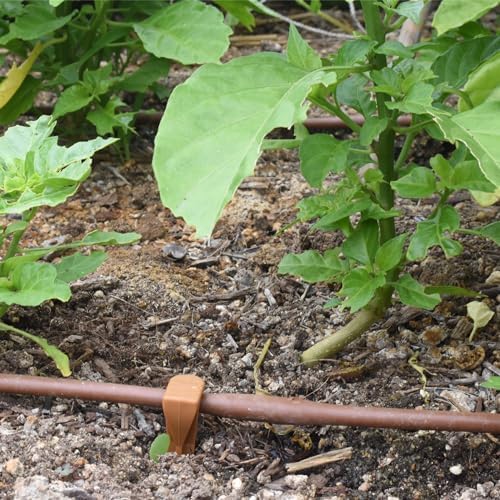 DIG ML-109B ¼” 100’ MICROLINE™ Dripline, 9” Dual Outlet Emitter Spacing, UV-Resistant Tubing for Efficient Irrigation | Ideal for Raised Beds, Gardens | Flexible, Durable, Easy Installation (Brown)