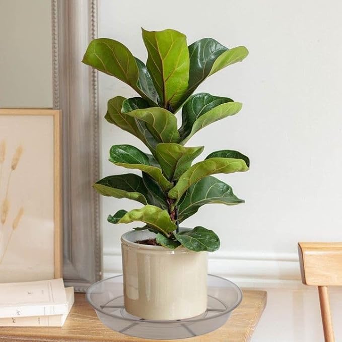 6 Pack Plant Saucer Drip Tray 16 inch, Potting Trays for Plants, Heavy Sturdy Plastic Planter Flower Pot Saucers for Indoor Outdoor Garden, Plant Water Drip Trays for pots (16", Grey)