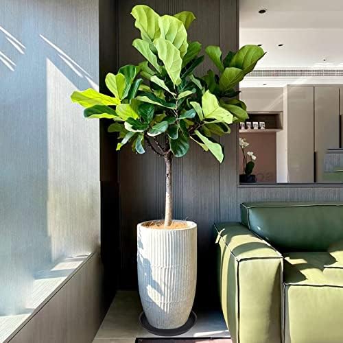 4 Pack of 16 inch Plant Saucer White, Bird Bath Bowls, Heavy Duty Plastic Plant Saucer Round White