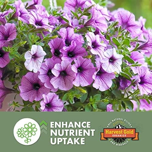 Organic Soil Conditioner, Natural Soil Amendment for Houseplants, Flowers, Lawns, Gardens and Trees, Provides Natural Silica and Micronutrients for Plants (3 Pound Bag)