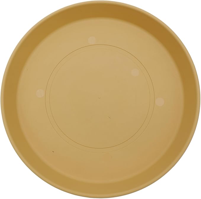 The HC Companies 12 Inch Round Prima Plastic Plant Saucer - Indoor Outdoor Plant Trays for Pots - 12.4 Inchx12.4 Inchx1.5 Inch in Honey