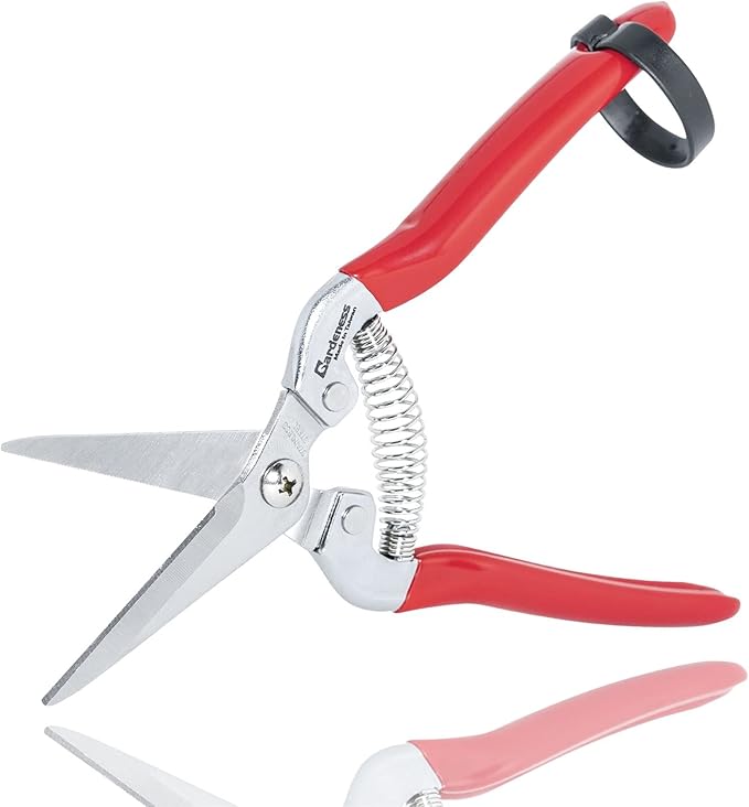 Gardeness Pruning Shear Straight Pruning Snip with Stainless Steel Serrated Blade, Adjustable Joint Screw Micro Tip Garden Scissor for Arranging, Trimming, Harvesting Fruit, Vegetables, Made in Taiwan
