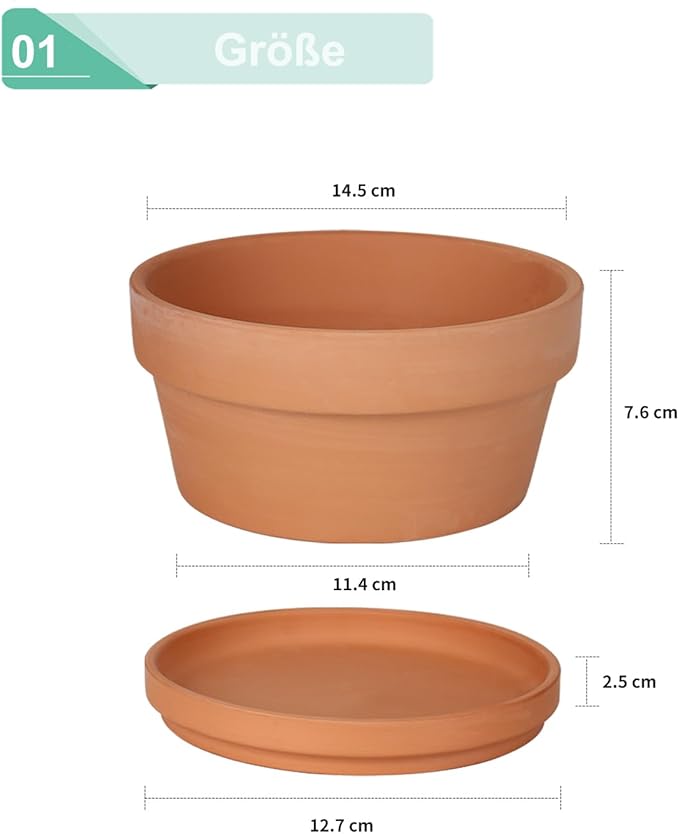 vensovo 5.7 Inch Terracotta Shallow Succulent Pot - 6 Pack Terra Cotta Clay Pots with Saucer, Cacuts Terra-Cotta Indoor and Outdoor Planters with Drainage Hole