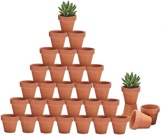 Riseuvo 32pcs 2" Small Mini Terracotta & Clay Pot Planter - Cactus Flower Nursery Terra Cotta Pots with Drainage, Perfect for Indoor/Outdoor Plants, Crafts