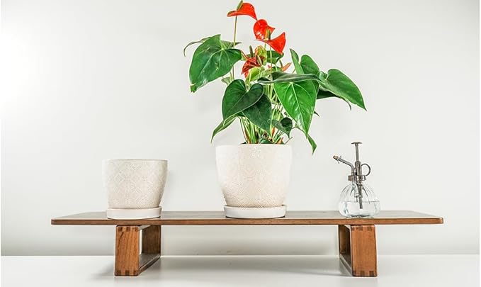 Docrin Ceramic Plant Pots Indoor: 6.6 + 5.5 Inch Planters with Drainage Holes and Saucer for Home/Office - Set of 2 /White