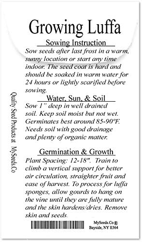 Big Pack - (100) Luffa Luffa Cylindrica Loofah Seeds - Dishcloth Or Luffa Gourd Fruits Grow To Approx. 2' - Non-GMO Seeds By MySeeds.Co (Big Pack - Luffa Gourd Reg)