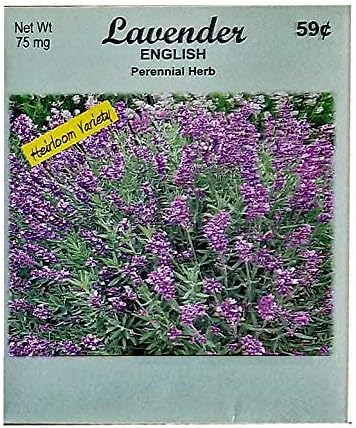 Set of 100 Flower Seed Packets! Flower Seeds in Bulk (100, Lavender)