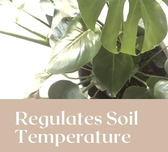 Urban Thumb and Co Ultra Fine Garden Plant Mulch - Top Cover for Indoor / Outdoor Potted House Plants - Compact Size,Potting Mix for Urban Plant Lovers- 3.25 Quarts