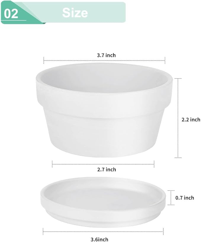 vensovo 3.7 Inch White Terracotta Shallow Succulent Pots - 6 Pack Terra Cotta Clay Pot with Saucer, Cacuts Indoor and Outdoor Planters with Drainage Hole