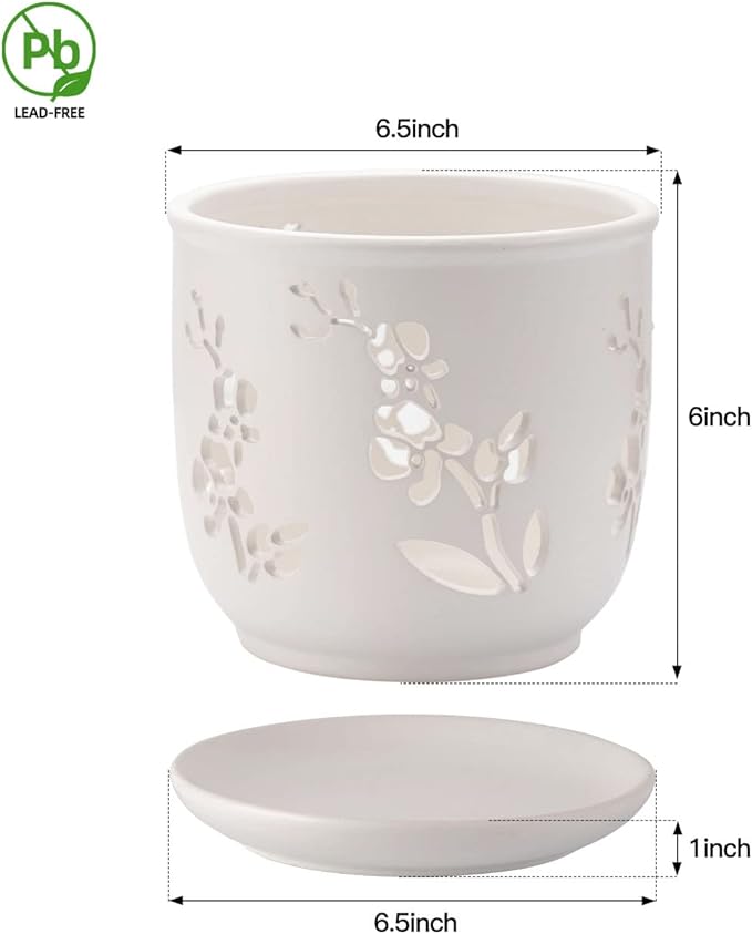 Orchid Pot, 6.5 inch Large Orchid Pots with Holes for Healthy Growth and Easy Repotting, Premium Ceramic Orchid Planter for Indoor and Outdoor Use, Perfect Home for Your Orchids to Thrive