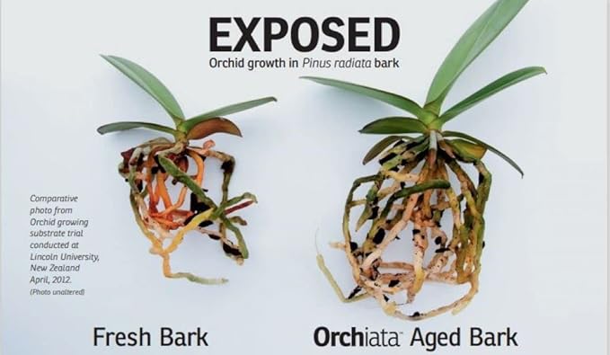 Orchiata Orchid Bark | Orchid Bark for Plants 100% Pure New Zealand Pinus Radiata | Power Plus 1/2" to 3/4" Organic Potting Orchid Bark for Aeration and Longevity