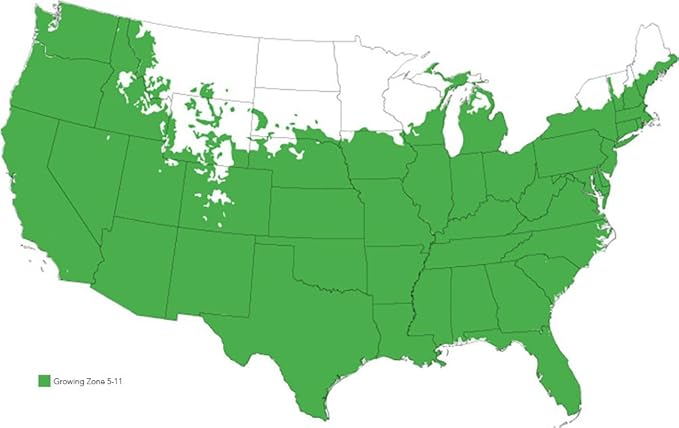 Royal Purple LIRIOPE - Size: 1 Gallon, Live Plant, Includes Special Blend Fertilizer & Planting Guide