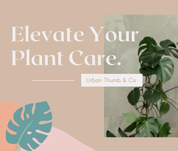 Urban Thumb and Co Ultra Fine Garden Plant Mulch - Top Cover for Indoor / Outdoor Potted House Plants - Compact Size,Potting Mix for Urban Plant Lovers- 3.25 Quarts