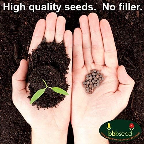 Fragrant Wildflower Seeds Mix - 1oz, Aromatic Annual and Perennial Wildflower Seeds – Create The Perfect Garden with Non-GMO Natural Seeds!