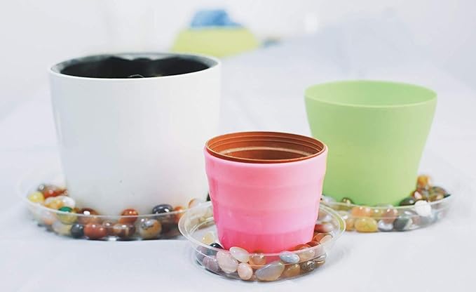 TRUEDAYS 10 Inch 5 Pack Clear Plant Saucers Flower Pot Tray Excellent for Indoor & Outdoor Plants