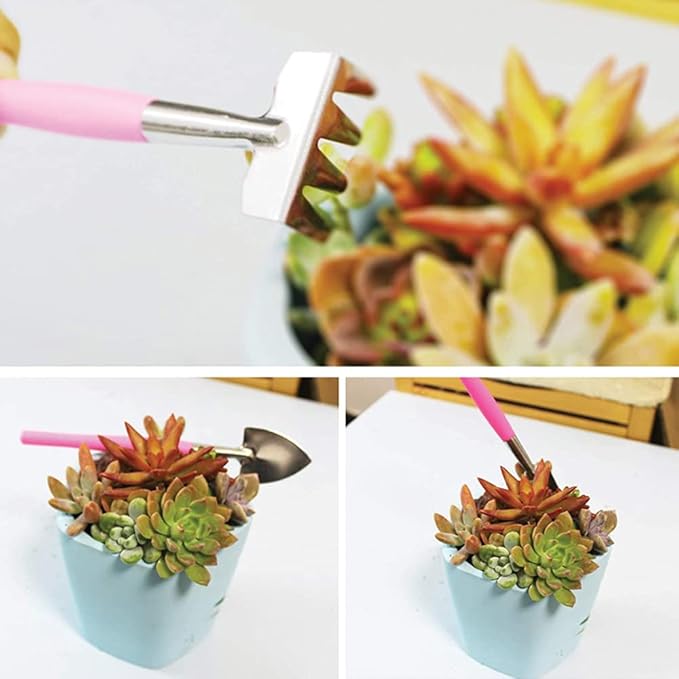 CFH-Allez 21 Pieces Succulent Plants Tools,Gardening Succulent Transplanting Hand Tool +Succulent Garden Pad Miniature Planting Collapsible Waterproof Planter Gardening Mat+Garden Bucket Bag (Pink)