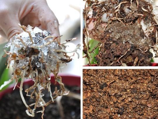 Water Storing Crystal Soil Additive Commercial Grade (20)