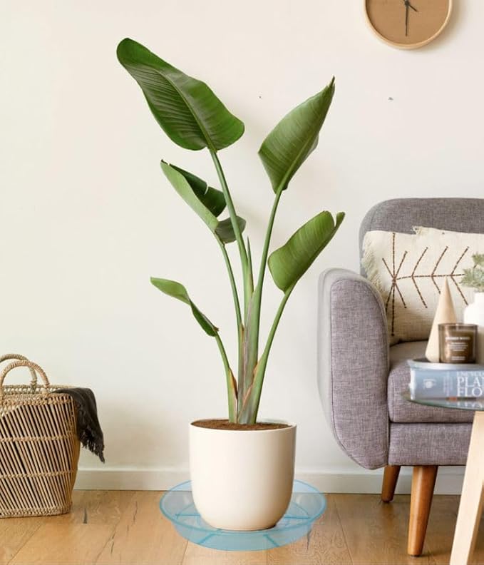 6 Pack Plant Saucer Drip Tray 16 inch, Potting Trays for Plants, Heavy Sturdy Plastic Planter Flower Pot Saucers for Indoor Outdoor Garden, Plant Water Drip Trays for pots (16", Blue)