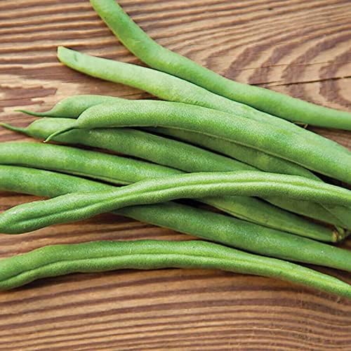 Park Seed Bean Seeds Harvest and Grow Your Own Spring Garden Vegetables, Whopper Bush Bean, Pack of 100