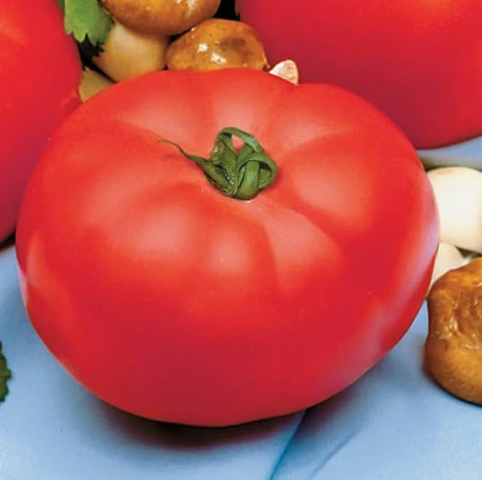 Park Seed Variety of Tomato Vegetable Seeds, Plant Seeds, Easy to Grow, Perfect for Harvesting, Beefmaster Hybrid, Pack of 1000
