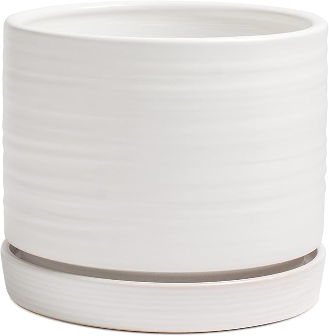 8 Inch Pots for Plants, Ceramic Planter Pot with Drainage Hole & Saucer, Indoor/Outdoor Cylinder Round Planter Pot, Matte White