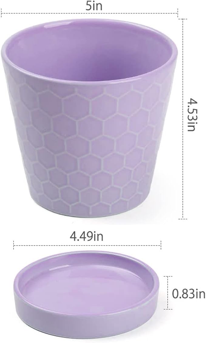 Plant Pots Indoor –5 in Ceramic Flower Pot with Drainage Hole and Ceramic Tray - Gardening Home Desktop Office Windowsill Decoration Gift, Set of 4 - Plants Not Included(Purple)