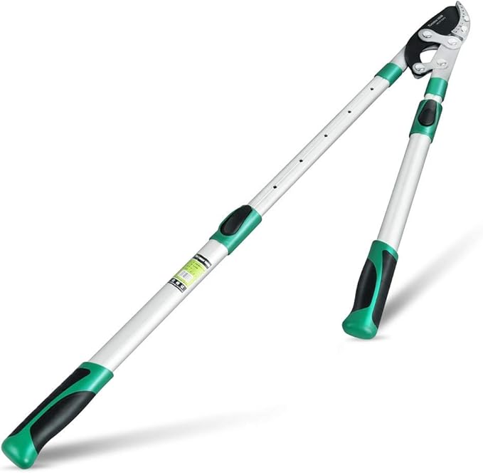 Heavy Duty Anvil Lopping Shears -2 inch Cutting Capacity Bypass Lopper - Extendable 26 Inch to 41 Inch,Professional Tree Branch Cutter