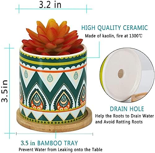Succulent Plant Pots - 3.1 inch Ceramic Succulent Planter -Cylinder Flower Pots for Cactus with Drainage Hole and Bamboo Tray, 6 Pack (Multicolor1)