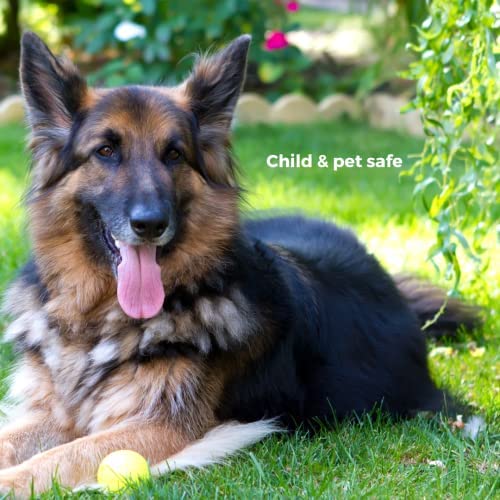 Ecoworm Soil Extract Organic Vermicompost Fertilizer for Indoor and Outdoor Flowers - 35 fl oz (Makes 53 gallons)