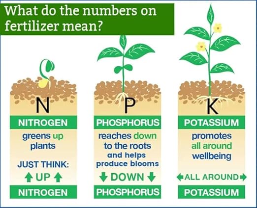 Premium 24-8-16 All Purpose Water Solubable Fertilizer for All Plants by Gardenera - Ideal for Flowers, Plants, Vegetables, Trees, Shrubs, Lawns and Houseplants - 20 Quart