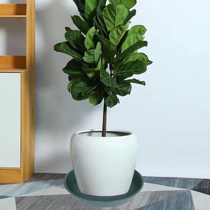 4 Pack of 16 17 inch Plant Saucer (15 inch Base), 2.3" Depth, Heavy Duty Deep Plant Trays for Pots, Bird Bath Bowls, Plastic Plant Saucers for Indoors, Drip Trays for Planter (17", Green)