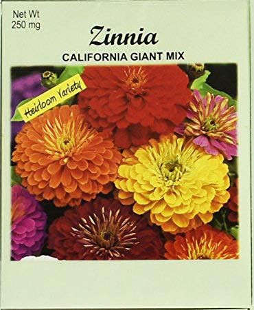 Set of 50 Flower Seed Packets! Flower Seeds in Bulk (50, Zinnia Cali Giant) - Made in The USA
