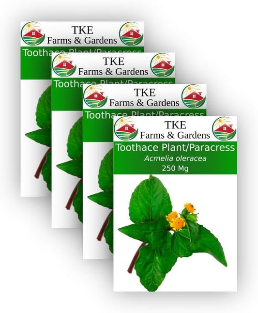 TKE Farms - Toothache Plant/Paracress Seeds for Planting, 250 Mg, Approximately 1000 Seeds, Acmelia oleracea, Non-GMO, Heirloom, Qty 4
