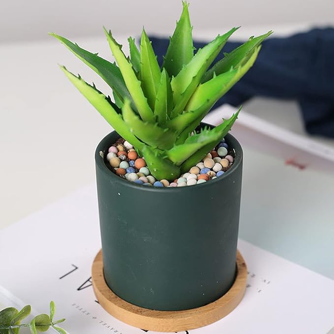 2LBS Clay Pebbles Gardening Ceramsite Orchid Rocks Drainage Water Purification Ceramsite Decor Cultivation Soil Stone Horticultural Grade for Soil Hydroponics Aquaponics