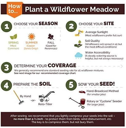 Non GMO Bulk Autumn Beauty Sunflower Seeds- Helianthus annuus (25 Lbs)