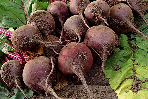 Potassium Polyacrylate Super Absorbent Polymer 5 Pounds