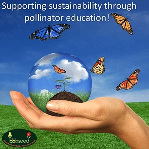 Fragrant Wildflower Seeds Mix - 1oz, Aromatic Annual and Perennial Wildflower Seeds – Create The Perfect Garden with Non-GMO Natural Seeds!