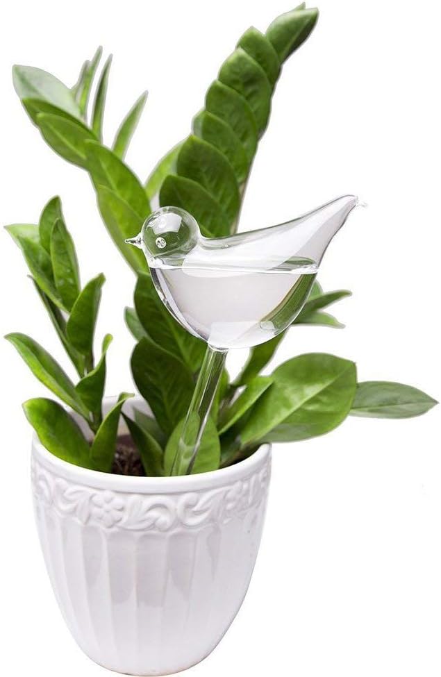 Mkono Plant Waterer Bulbs Self Watering Globes Automatic Watering Stakes Bird Shape Design Hand Blown Clear Glass Plant Water Drippers Irrigation Devices for Indoor and Outdoor Plants, Set of 6