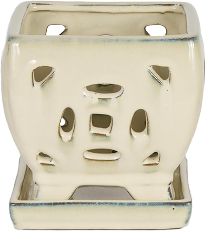 W&W Orchid Pot with Holes and Saucer for Repotting, Cream White, 5.5 Inches