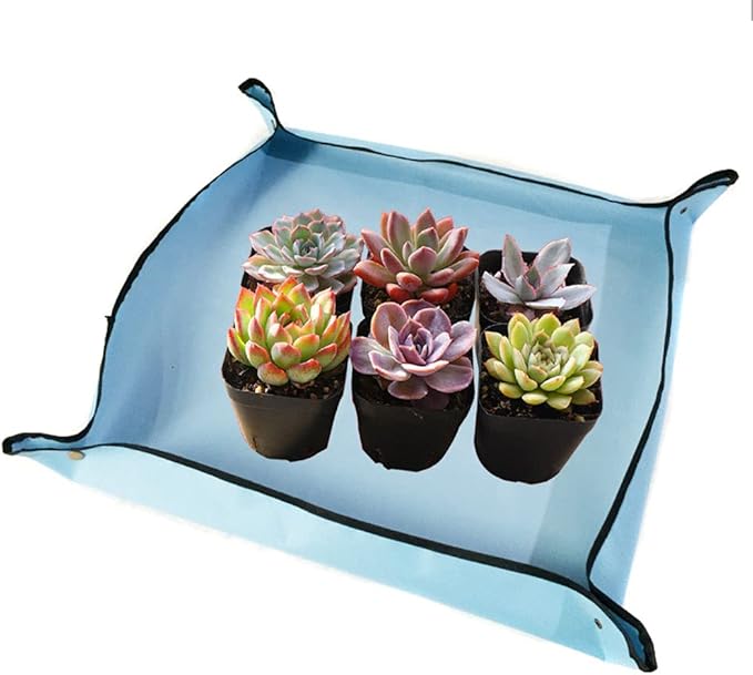 CFH-Allez 21 Pieces Succulent Plants Tools,Gardening Succulent Transplanting Hand Tool +Succulent Garden Pad Miniature Planting Collapsible Waterproof Planter Gardening Mat+Garden Bucket Bag (Blue)