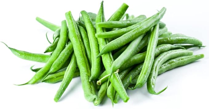Burpee Stringless Green Bean Seeds for Planting, 50+ Heirloom Seeds Per Packet, (Isla's Garden Seeds), Non GMO Seeds, Botanical Name: Phaseolus vulgaris, 85% Germination Rates, Great Home Garden Gift
