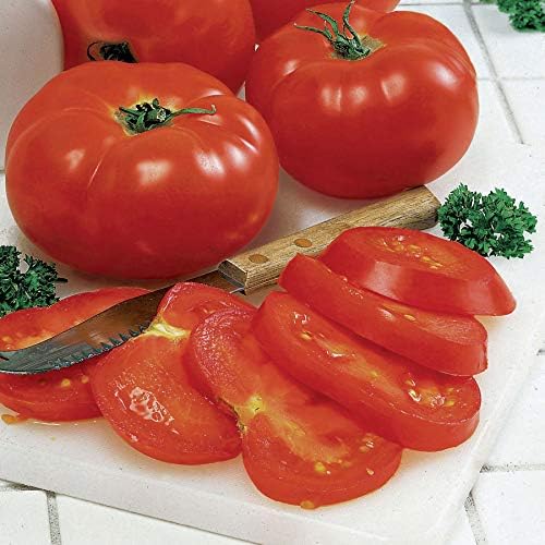 Park Seed Variety of Tomato Vegetable Seeds, Plant Seeds, Easy to Grow, Perfect for Harvesting, Big Beef Hybrid, Pack of 30